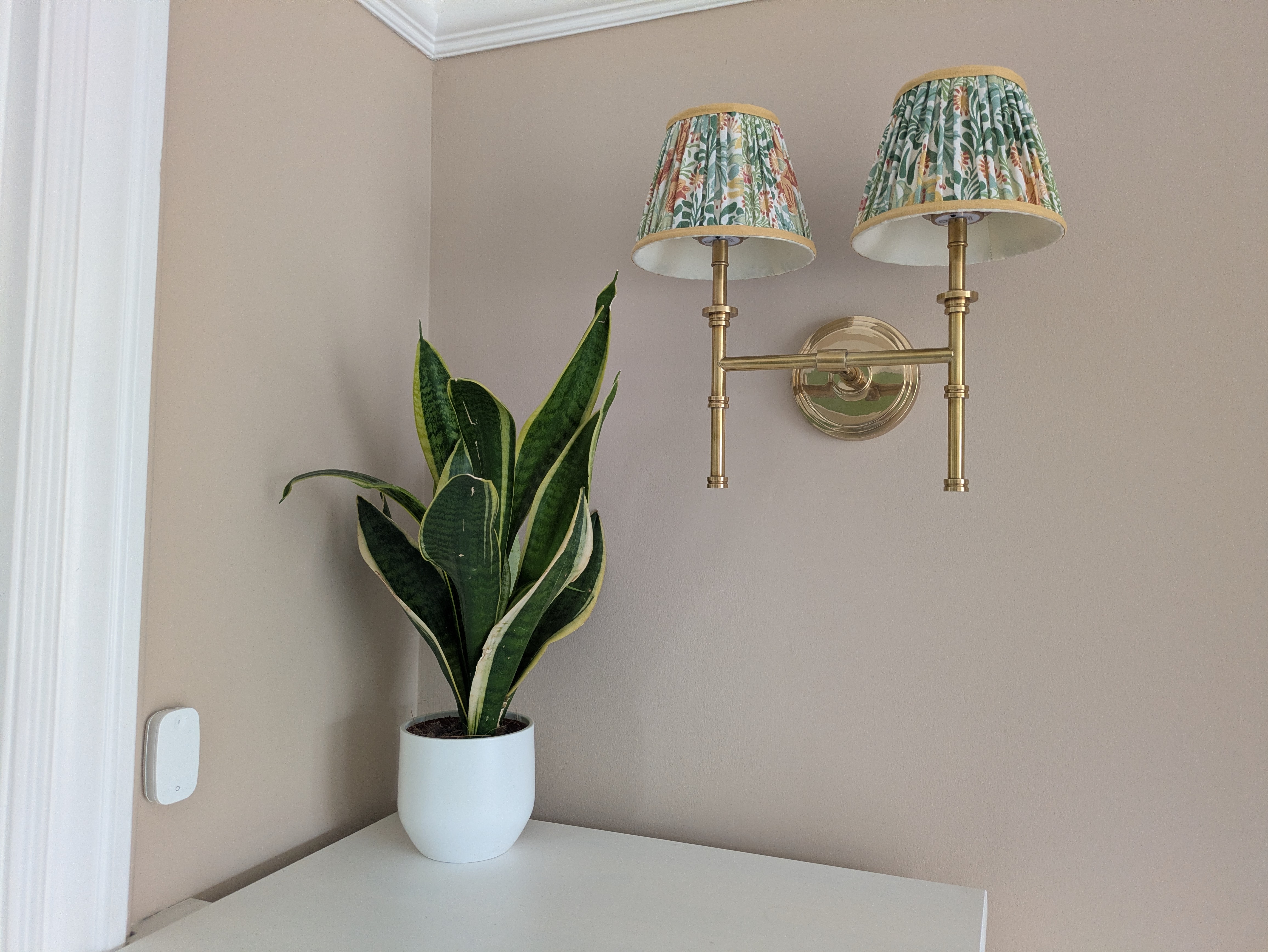 A brass double wall lamp attached to the wall - it's brass with two floral lampshades. Next to it is a snake plant in a pot, and next to that is a small white Ikea switch.